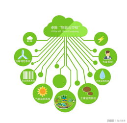 物聯網技術下的煙臺大櫻桃 智慧農業的甜蜜革命